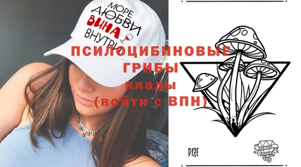 спайс Беломорск